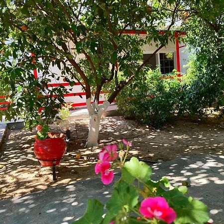 Cottonclub Villas Толон Экстерьер фото