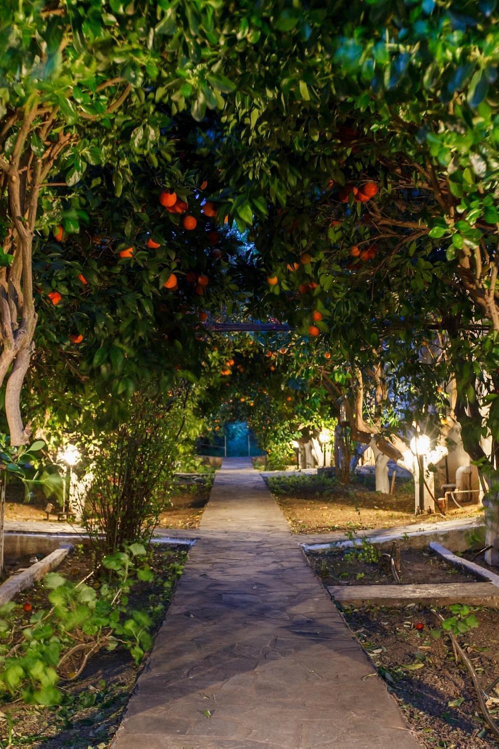 Cottonclub Villas Толон Экстерьер фото