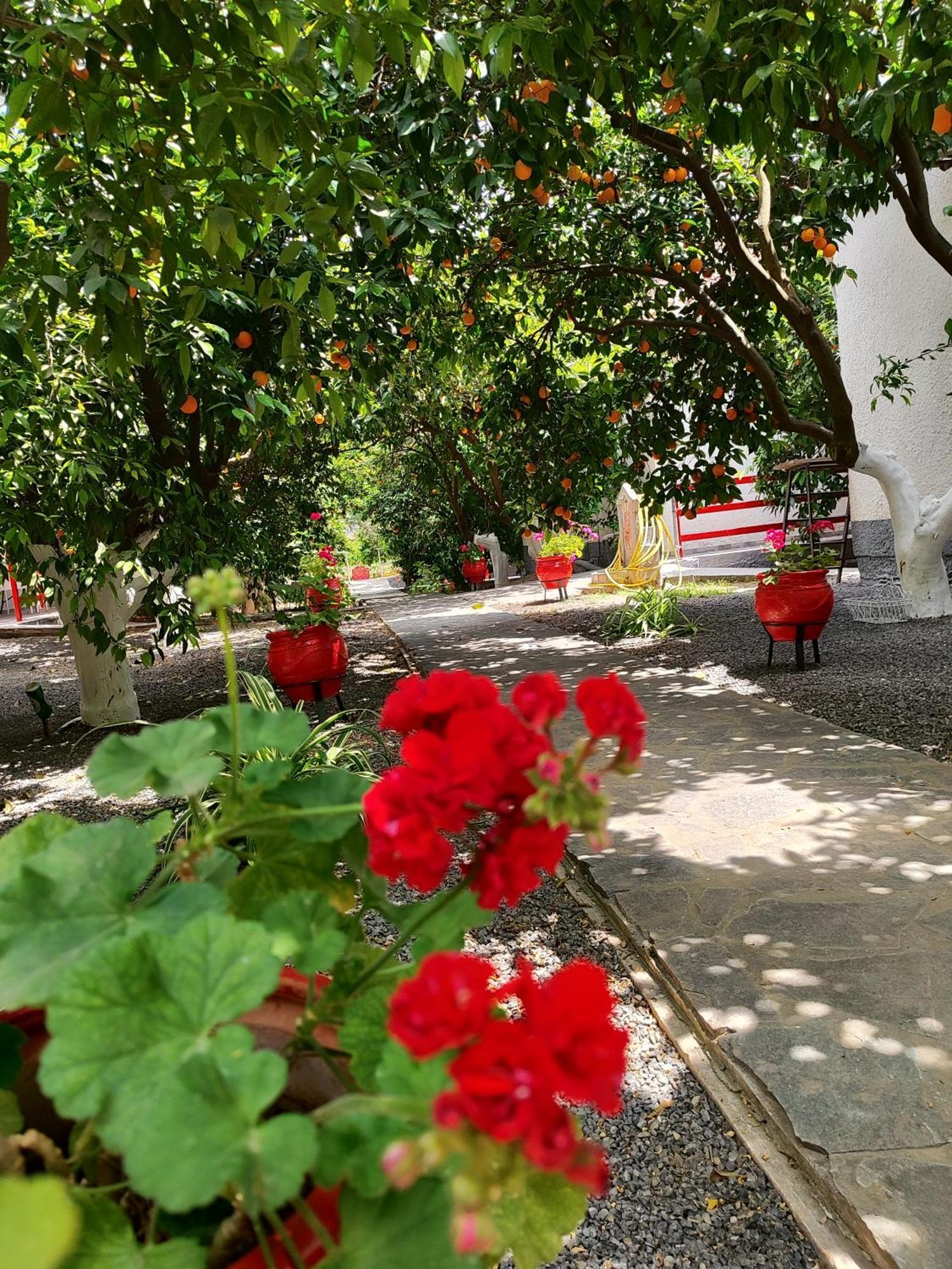 Cottonclub Villas Толон Экстерьер фото