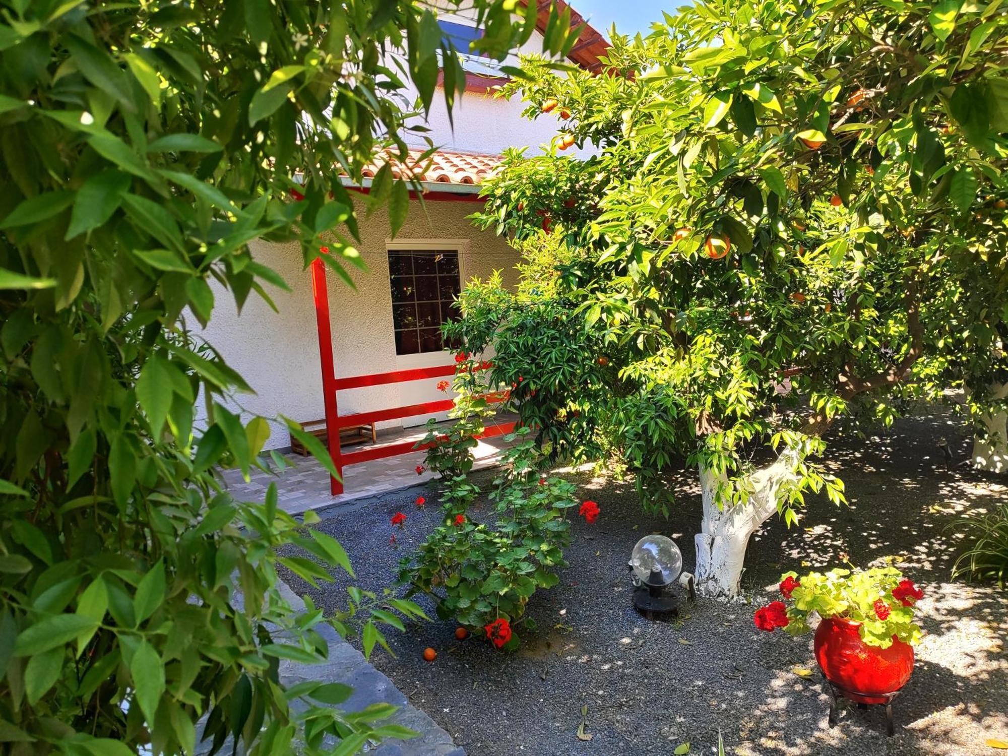 Cottonclub Villas Толон Экстерьер фото