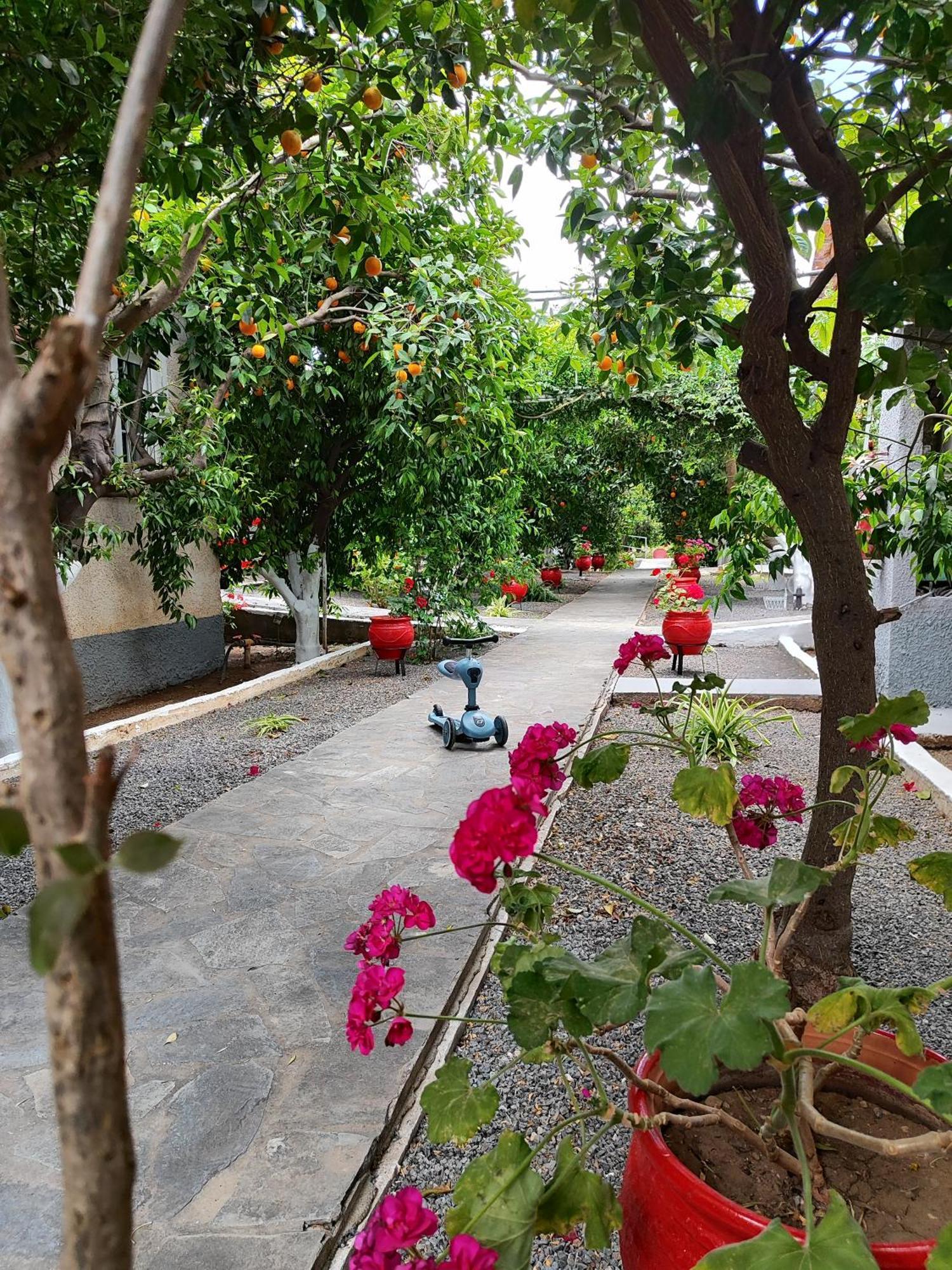 Cottonclub Villas Толон Экстерьер фото
