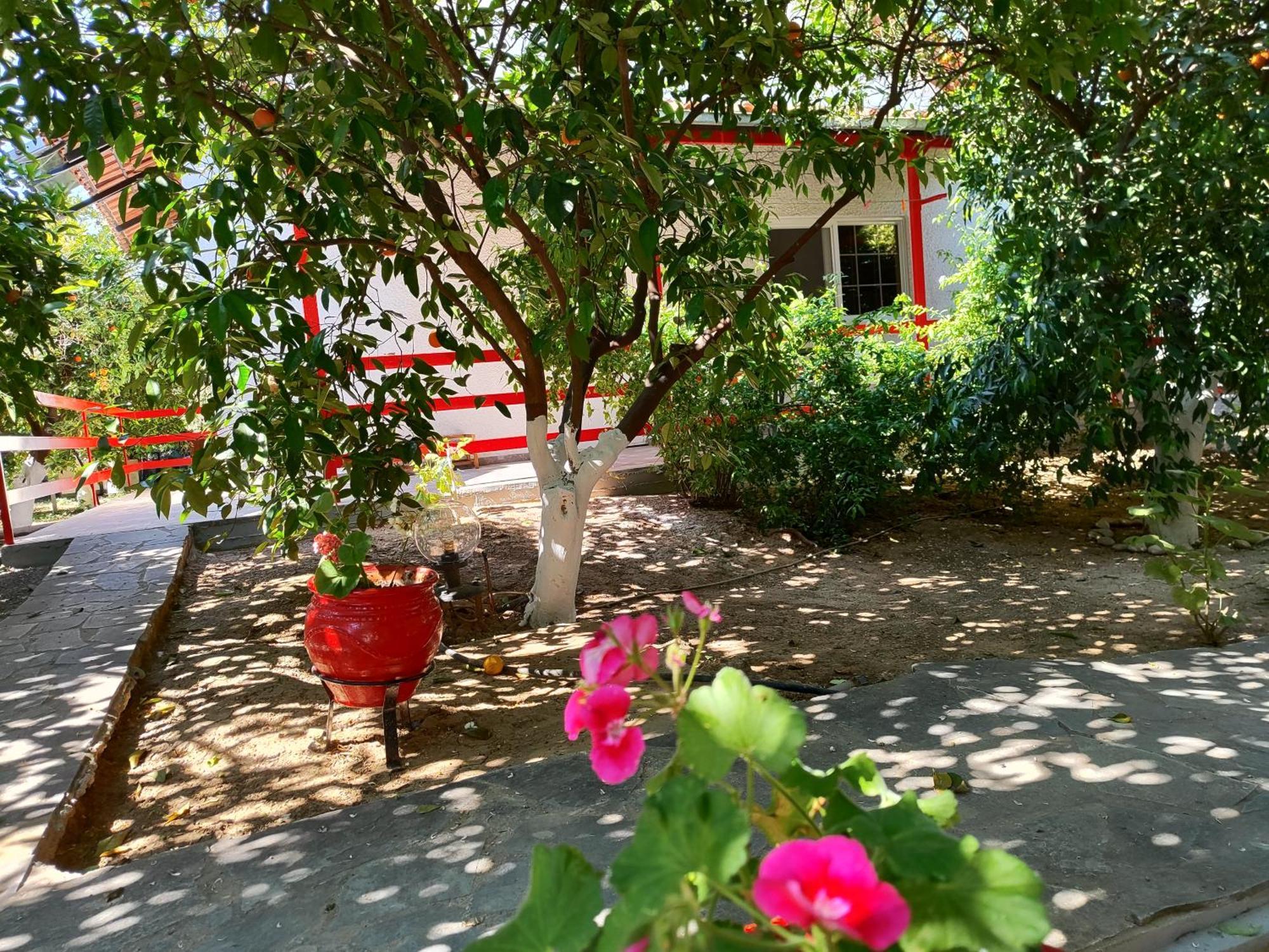 Cottonclub Villas Толон Экстерьер фото