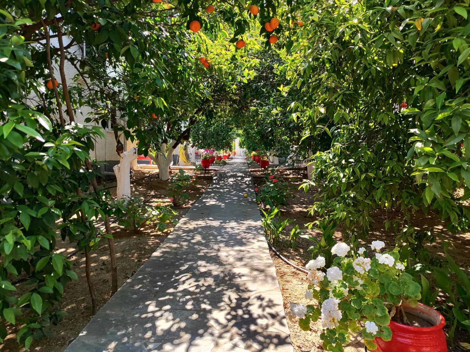 Cottonclub Villas Толон Экстерьер фото